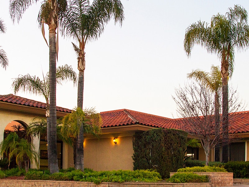 Trees in front of Las Colinas