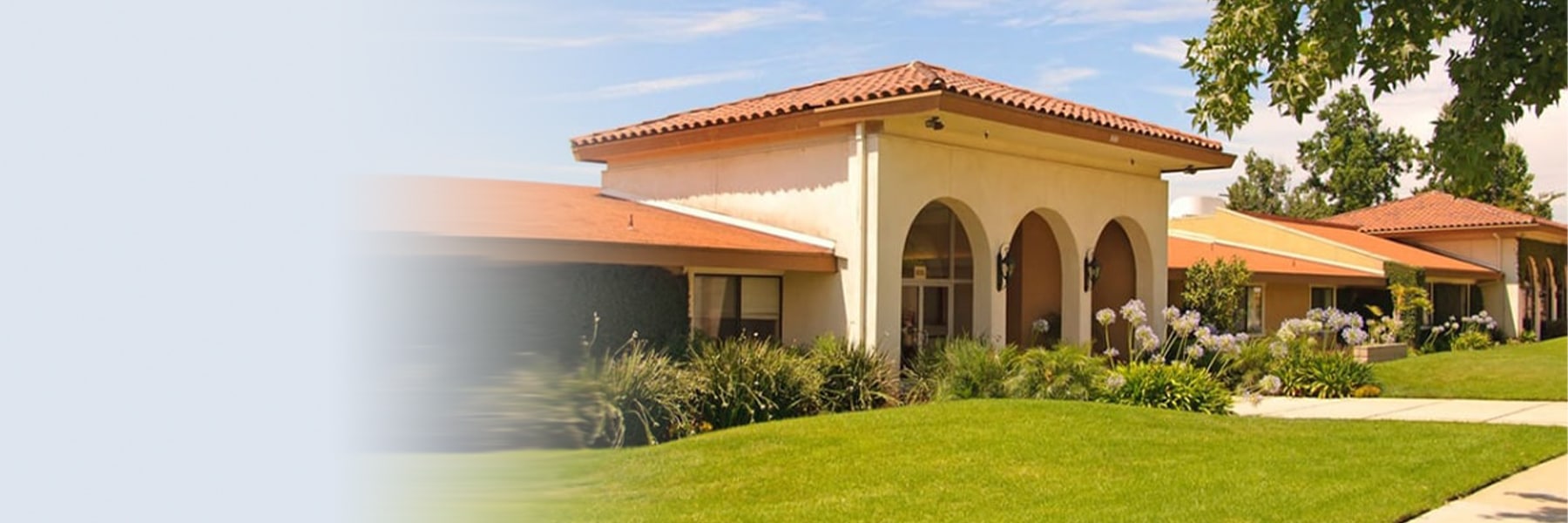 Desktop Background Image